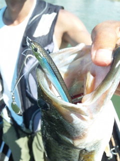 image-20120718035151.png